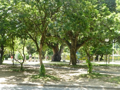 P1050856